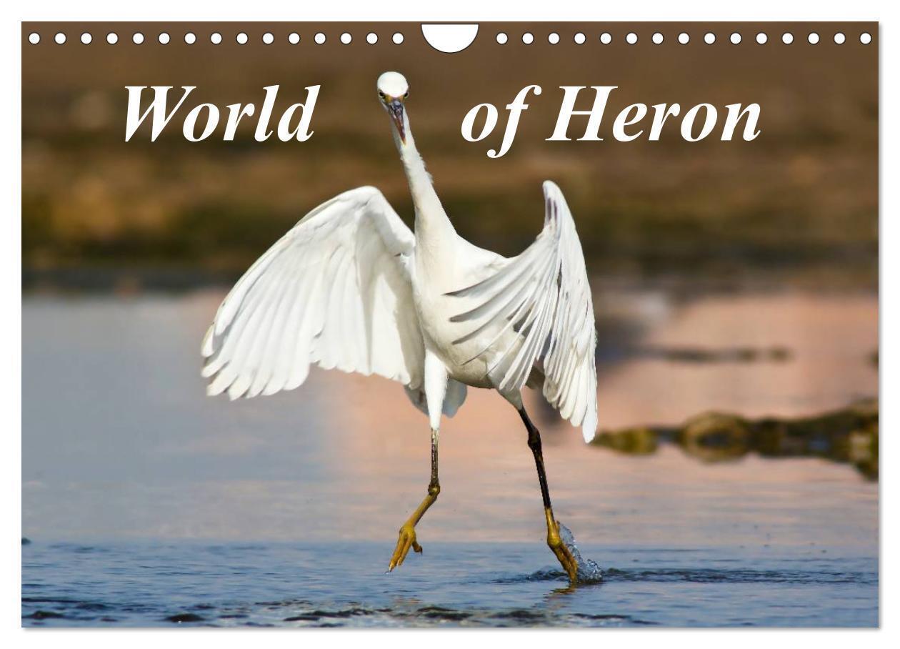 World of Heron (Wall Calendar 2026 DIN A4 landscape) CALVENDO 12 Month Wall Calendar