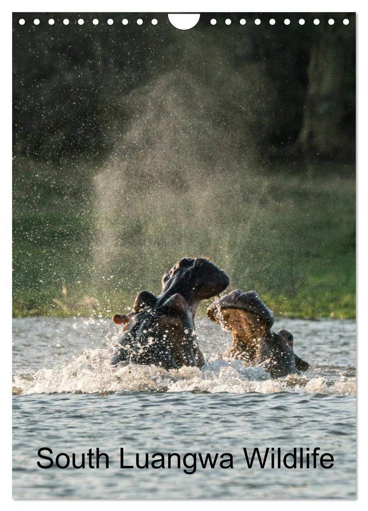 South Luangwa Wildlife (Wall Calendar 2026 DIN A4 portrait) CALVENDO 12 Month Wall Calendar