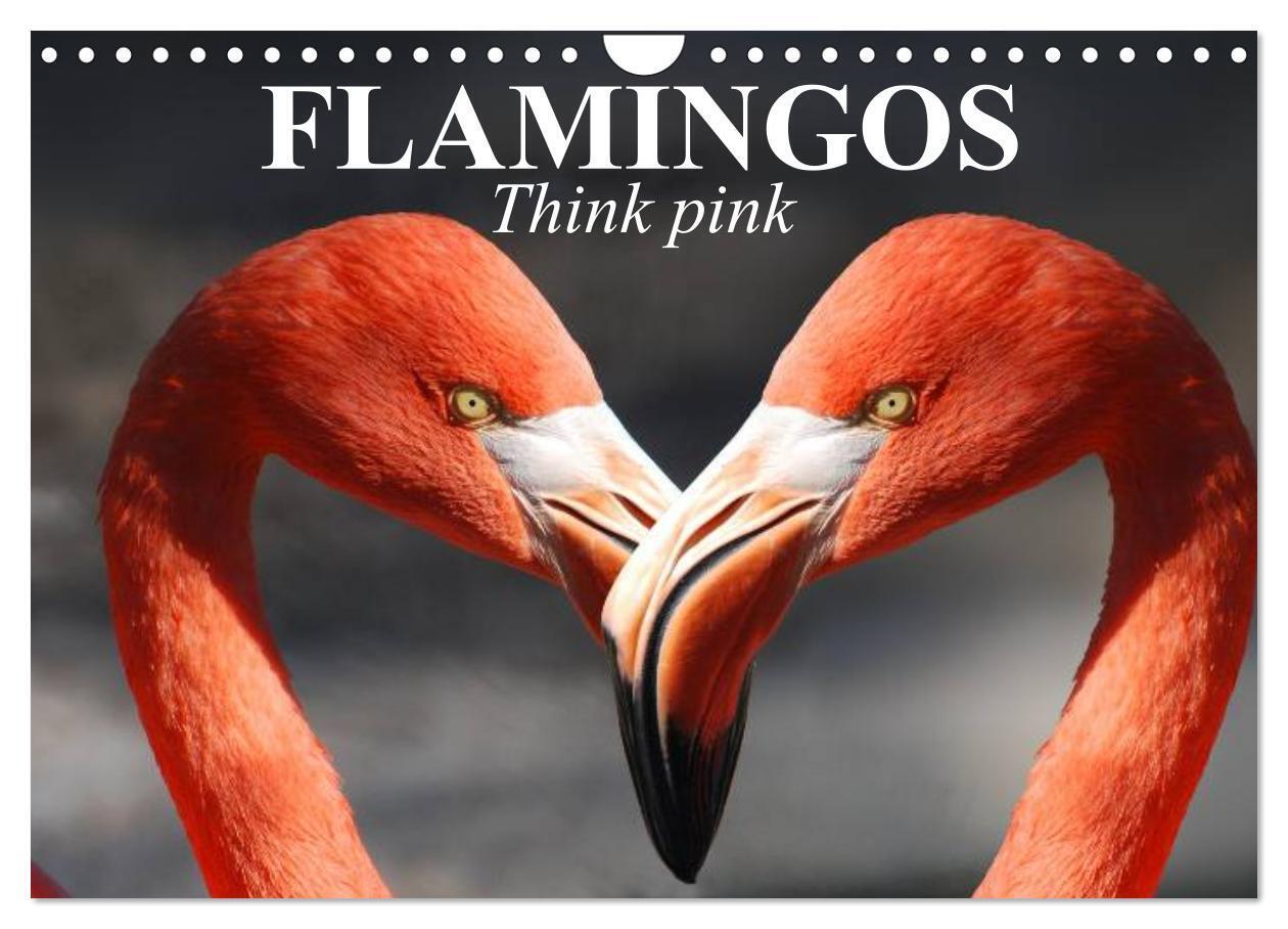 Flamingos Think pink (Wall Calendar 2026 DIN A4 landscape) CALVENDO 12 Month Wall Calendar