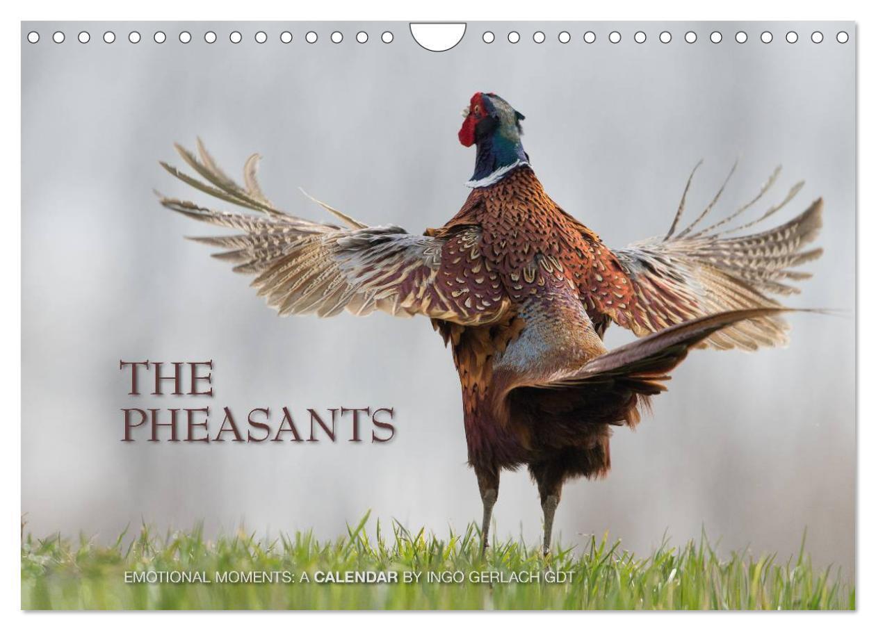 Emotional Moments: The pheasants. UK-Version (Wall Calendar 2026 DIN A4 landscape) CALVENDO 12 Month Wall Calendar