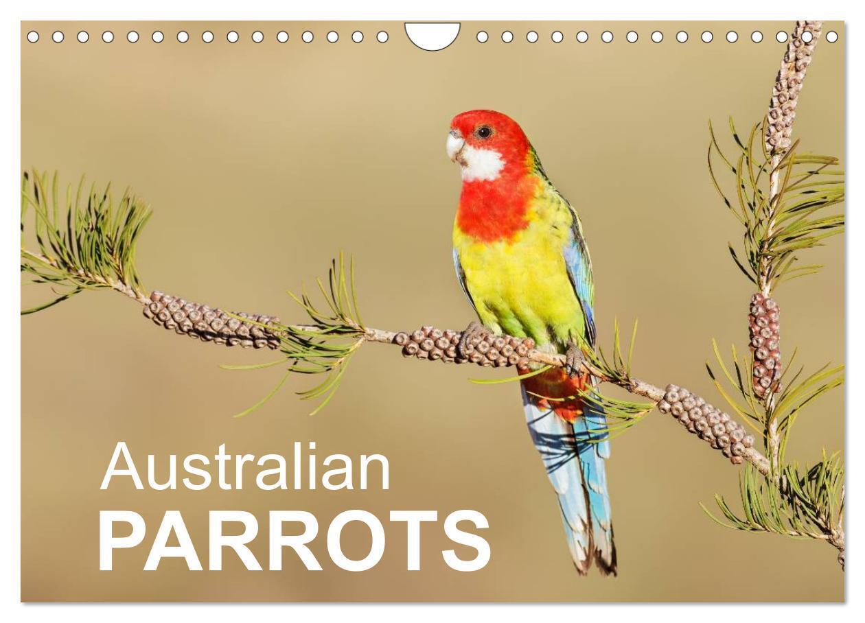 Australian Parrots (Wall Calendar 2026 DIN A4 landscape) CALVENDO 12 Month Wall Calendar