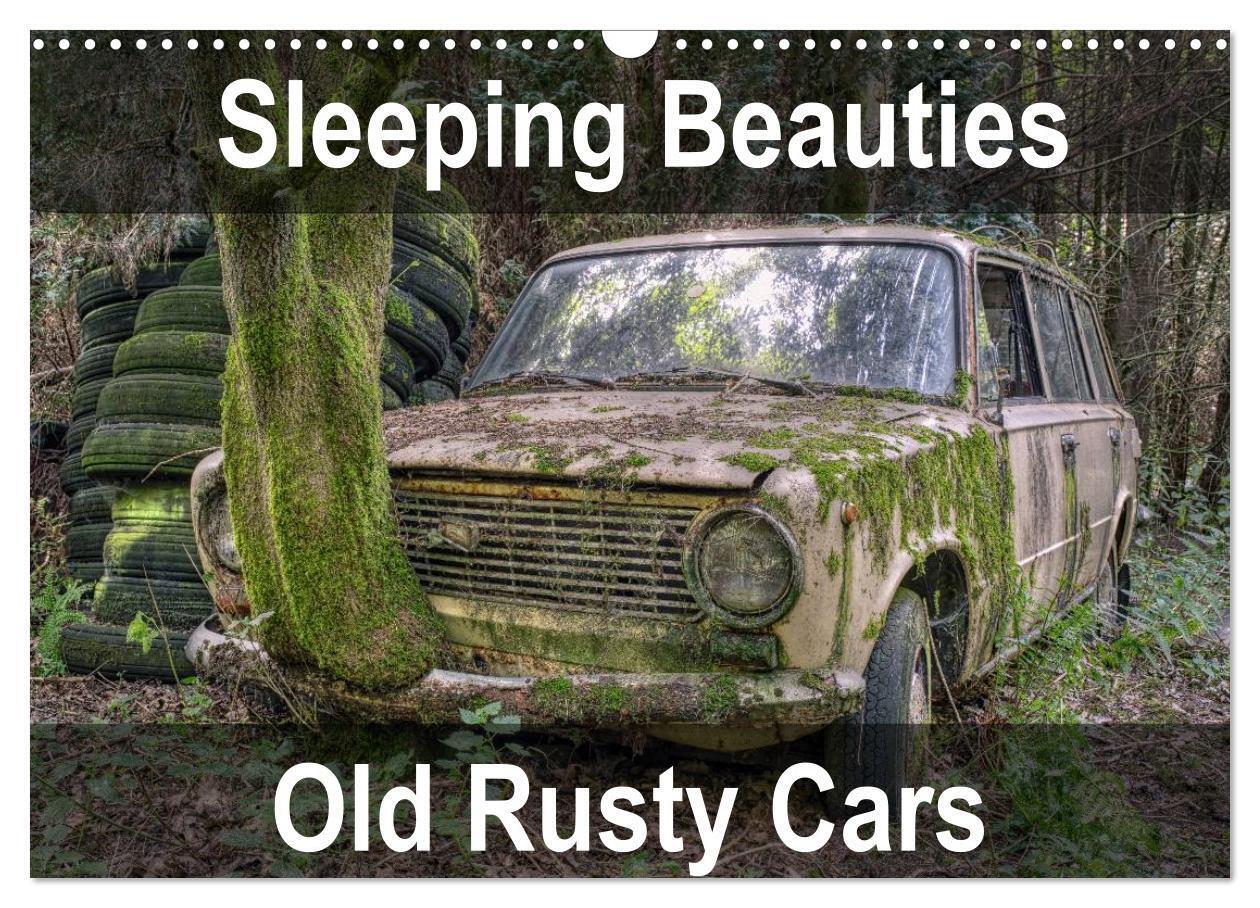 Sleeping Beauties Old Rusty Cars (Wall Calendar 2026 DIN A3 landscape) CALVENDO 12 Month Wall Calendar