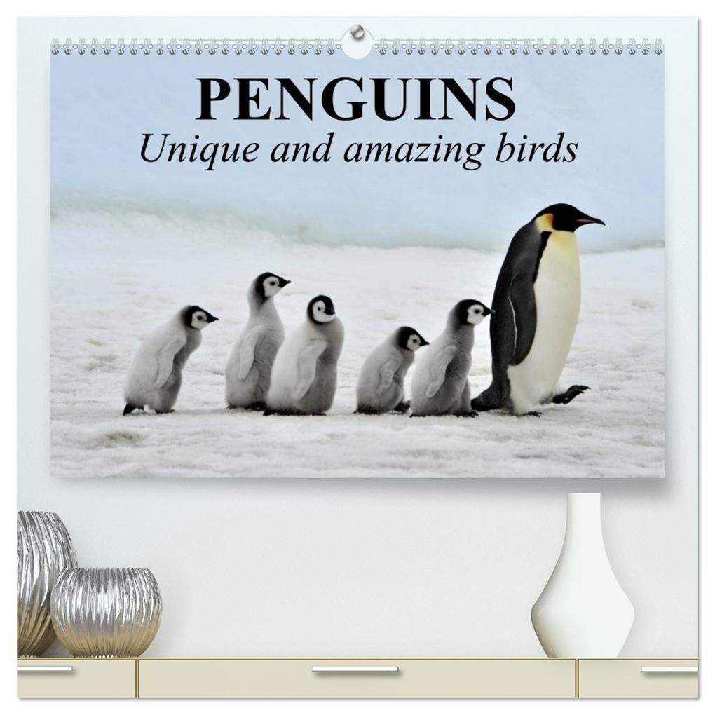 Penguins Unique and amazing birds (High Quality Premium Wall Calendar 2026 DIN A2 landscape)CALVENDO 12 Month Wall Calendar