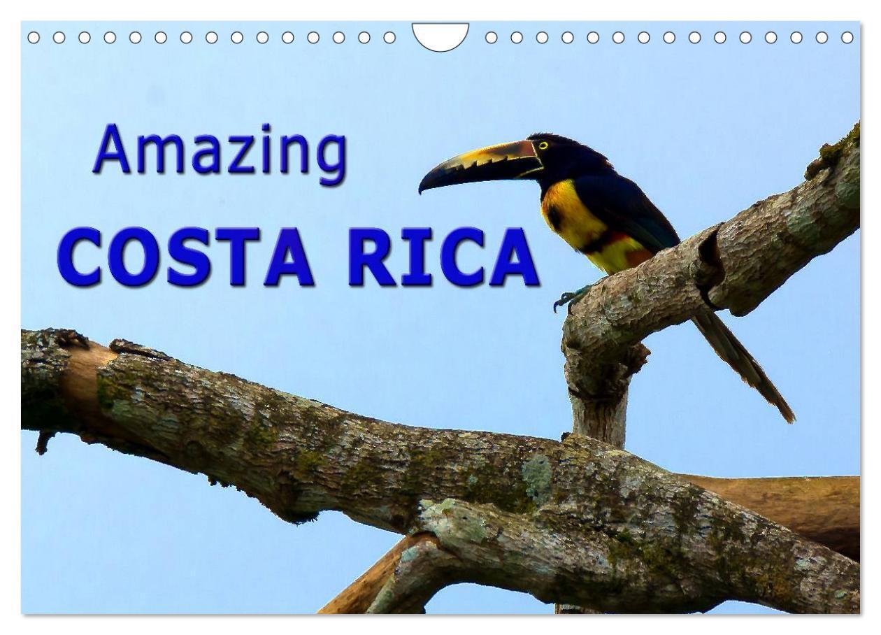 Amazing Costa Rica (Wall Calendar 2026 DIN A4 landscape) CALVENDO 12 Month Wall Calendar
