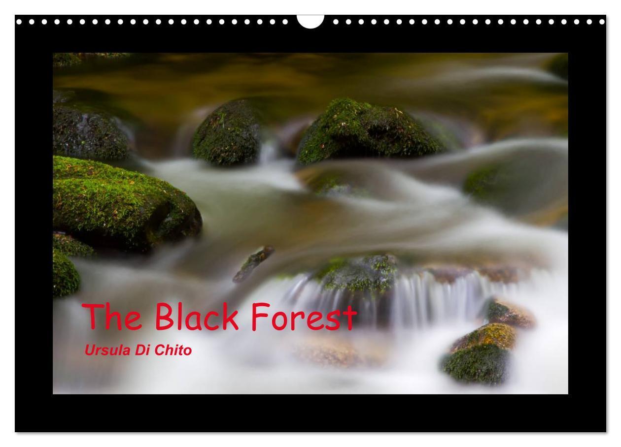 The Black Forest - UK Version (Wall Calendar 2026 DIN A3 landscape) CALVENDO 12 Month Wall Calendar