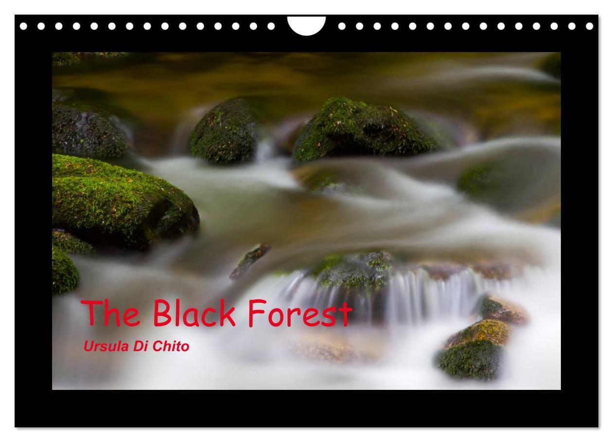 The Black Forest - UK Version (Wall Calendar 2026 DIN A4 landscape) CALVENDO 12 Month Wall Calendar
