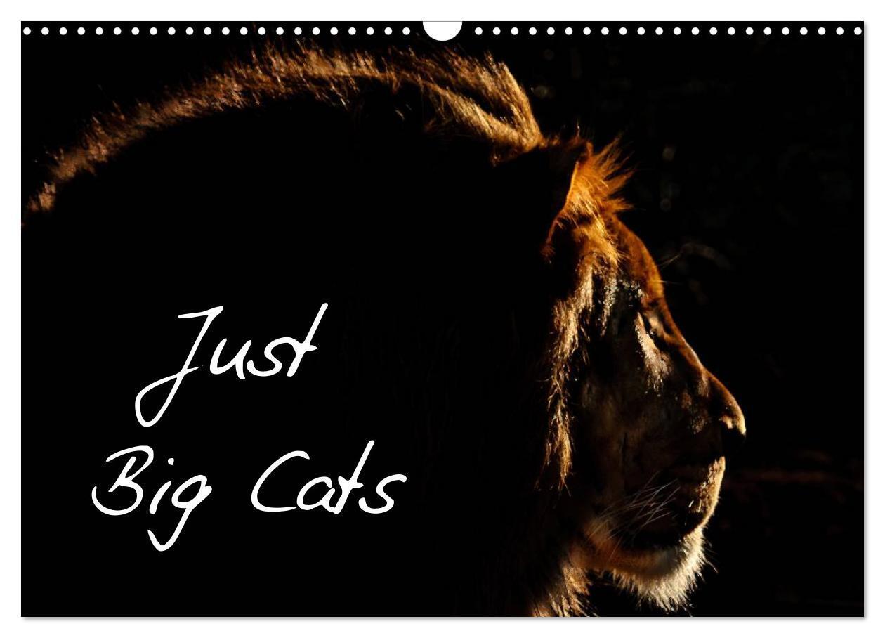 Just Big Cats (Wall Calendar 2026 DIN A3 landscape) CALVENDO 12 Month Wall Calendar