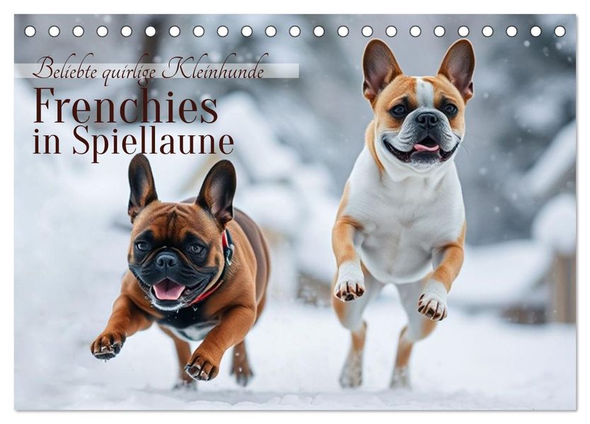 Frenchies in Spiellaune (Tischkalender 2026 DIN A5 quer) CALVENDO Monatskalender