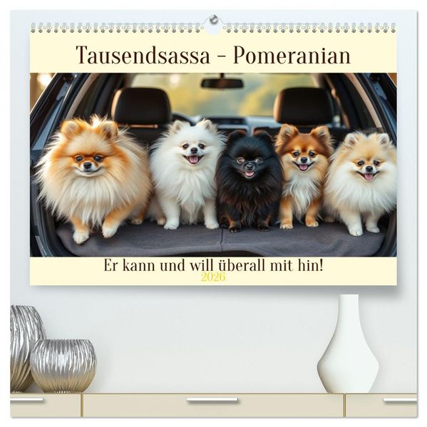 Tausendsassa - Pomeranian (hochwertiger Premium Wandkalender 2026 DIN A2 quer) Kunstdruck in Hochglanz
