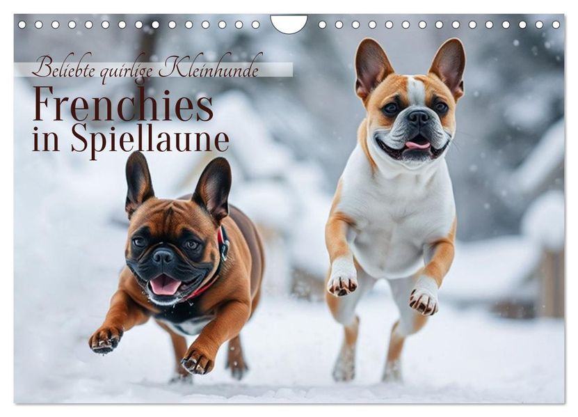 Frenchies in Spiellaune (Wandkalender 2026 DIN A4 quer) CALVENDO Monatskalender