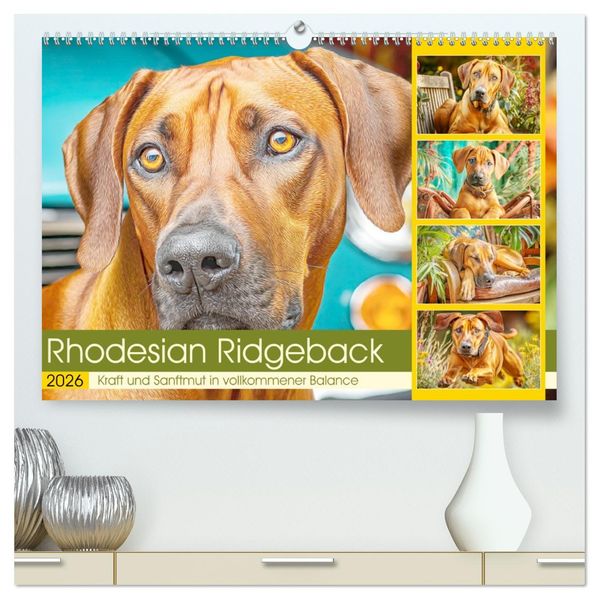 Rhodesian Ridgeback. Kraft und Sanftmut in vollkommener Balance (hochwertiger Premium Wandkalender 2026 DIN A2 quer) Kunstdruck in Hochglanz