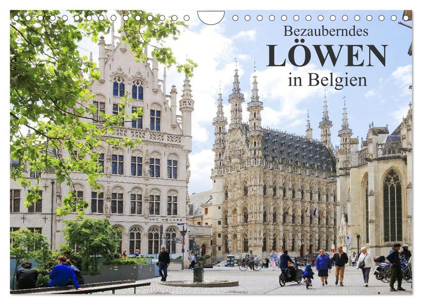 Bezauberndes Löwen in Belgien (Wandkalender 2026 DIN A4 quer) CALVENDO Monatskalender