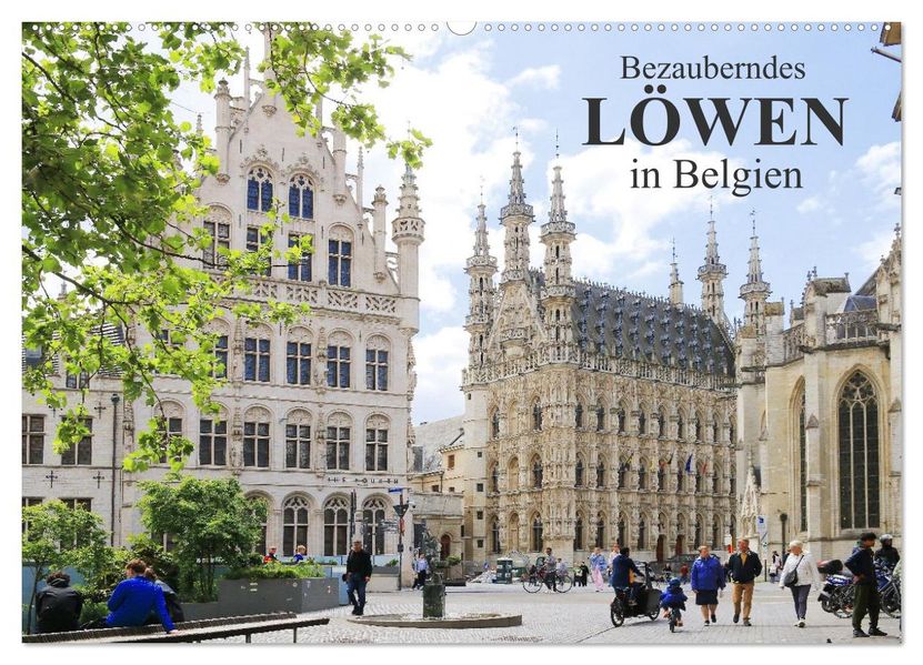 Bezauberndes Löwen in Belgien (Wandkalender 2026 DIN A2 quer) CALVENDO Monatskalender