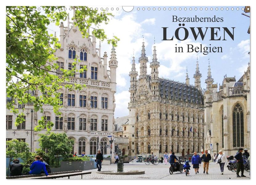 Bezauberndes Löwen in Belgien (Wandkalender 2026 DIN A3 quer) CALVENDO Monatskalender