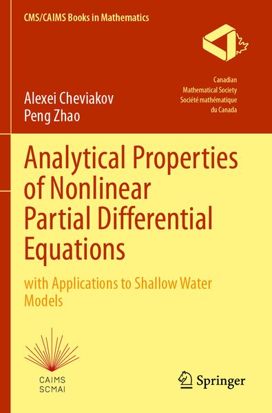 Analytical Properties of Nonlinear Partial Differential Equations