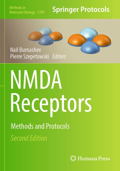 NMDA Receptors