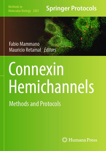 Connexin Hemichannels