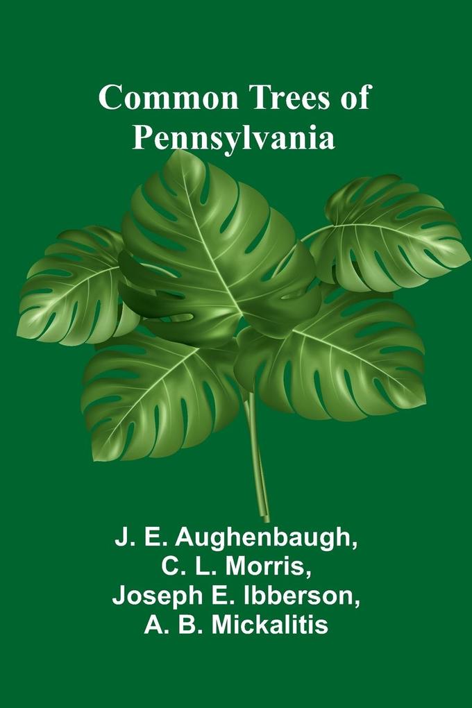 Common Trees Of Pennsylvania