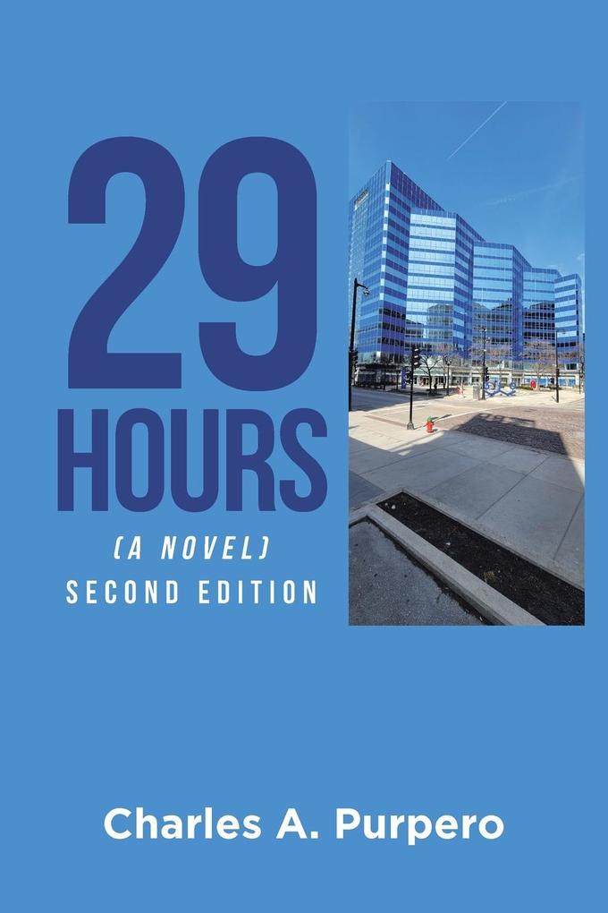 29 Hours (A Novel)