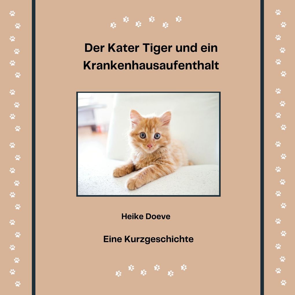 Der Kater Tiger und ein Krankenhausaufenthalt