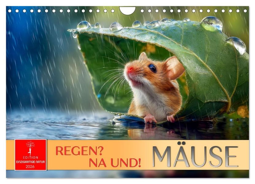 Regen? Na und! Mäuse (Wandkalender 2026 DIN A4 quer) CALVENDO Monatskalender