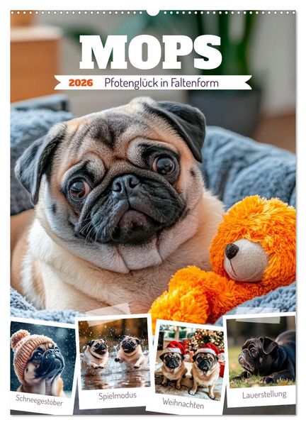 MOPS Pfotenglück in Faltenform (Wandkalender 2026 DIN A2 hoch) CALVENDO Monatskalender
