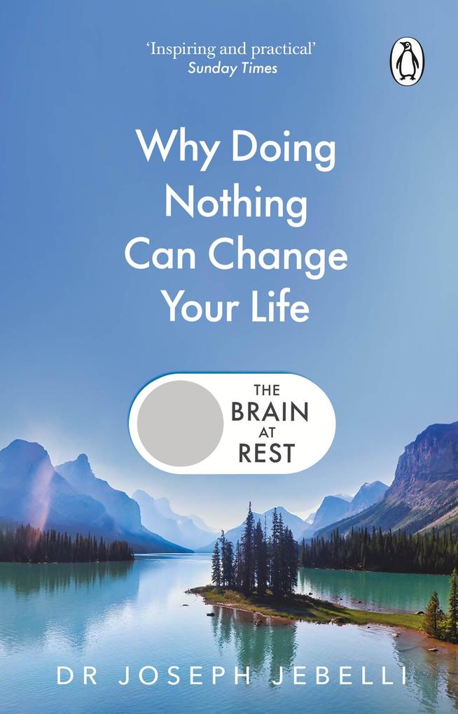 The Brain at Rest