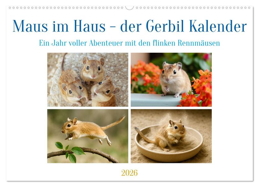 Maus im Haus - der Gerbil Kalender (Wandkalender 2026 DIN A2 quer) CALVENDO Monatskalender