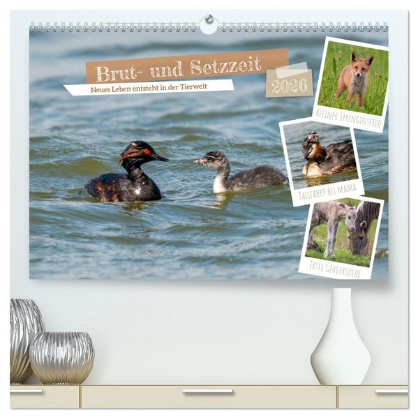 Brut- und Setzzeit. Neues Leben entsteht. (hochwertiger Premium Wandkalender 2026 DIN A2 quer) Kunstdruck in Hochglanz