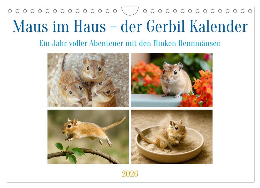 Maus im Haus - der Gerbil Kalender (Wandkalender 2026 DIN A4 quer) CALVENDO Monatskalender