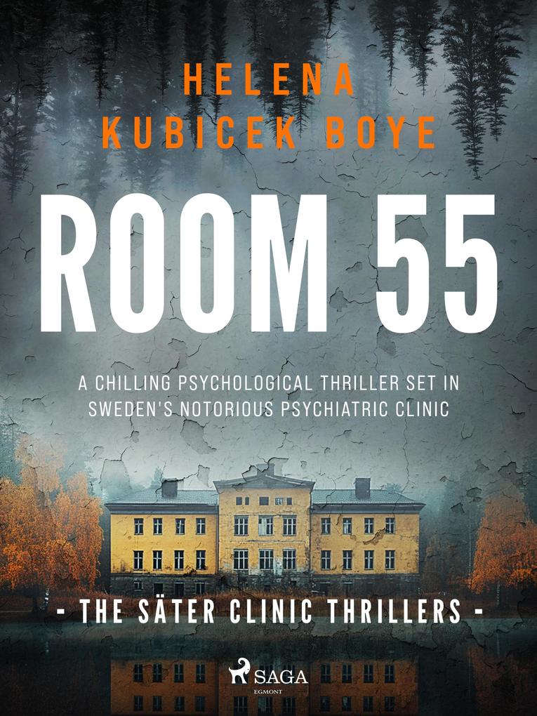 Room 55: A clever Scandi-Noir thriller set in Sweden's notorious psychiatric clinic
