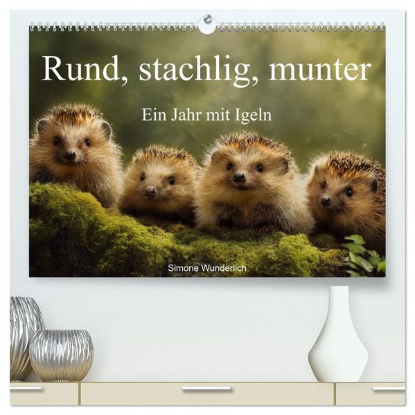 Rund stachlig munter - Ein Jahr mit Igeln (hochwertiger Premium Wandkalender 2026 DIN A2 quer) Kunstdruck in Hochglanz