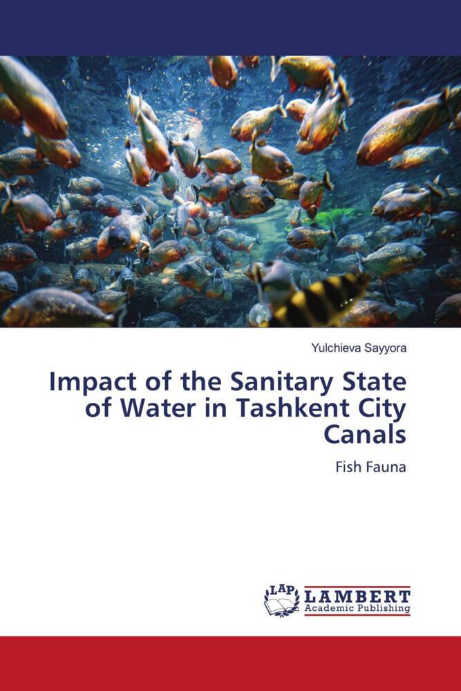 Impact of the Sanitary State of Water in Tashkent City Canals