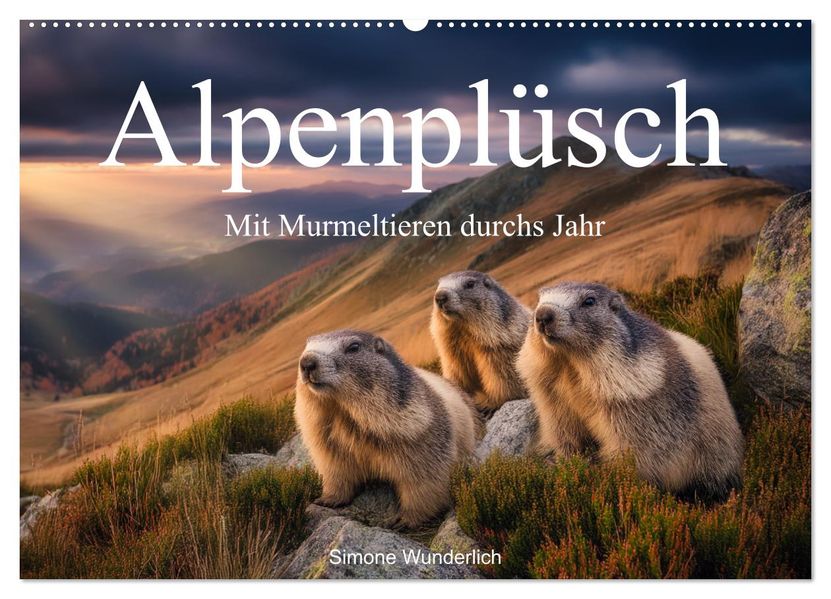 Alpenplüsch - Mit Murmeltieren durchs Jahr (Wandkalender 2026 DIN A2 quer) CALVENDO Monatskalender