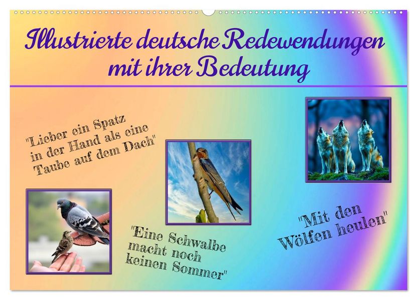 Illustrierte deutsche Redewendungen mit ihrer Bedeutung (Wandkalender 2026 DIN A2 quer) CALVENDO Monatskalender