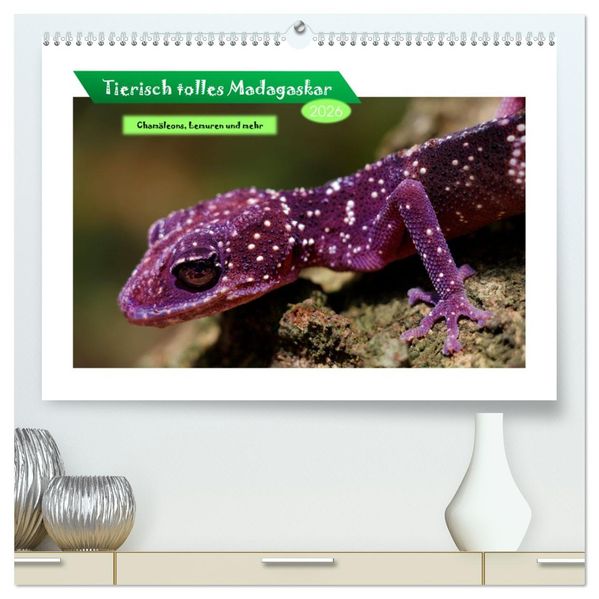 Tierisch tolles Madagaskar - Chamäleons Lemuren und mehr (hochwertiger Premium Wandkalender 2026 DIN A2 quer) Kunstdruck in Hochglanz