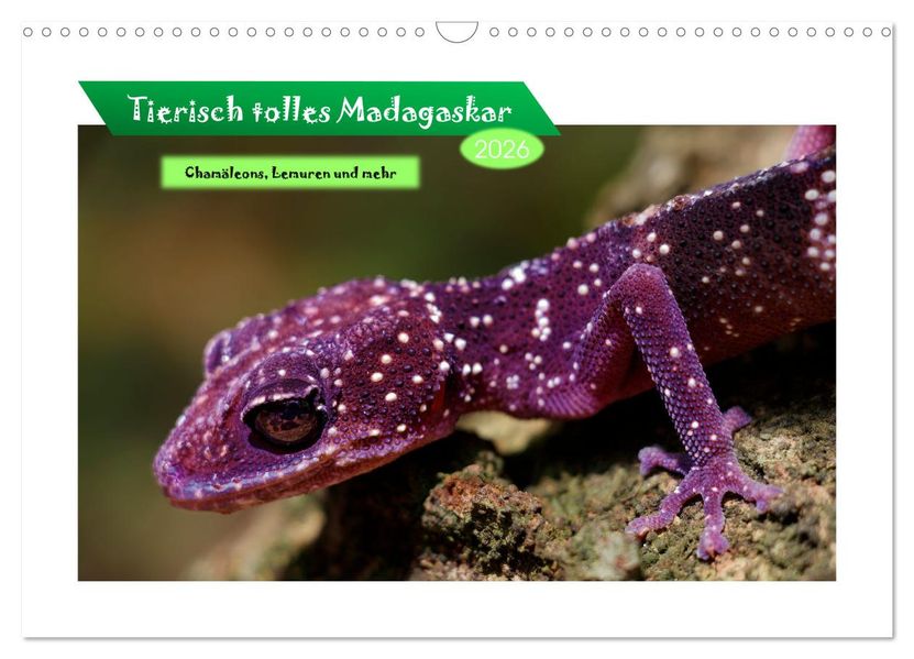 Tierisch tolles Madagaskar - Chamäleons Lemuren und mehr (Wandkalender 2026 DIN A3 quer) CALVENDO Monatskalender