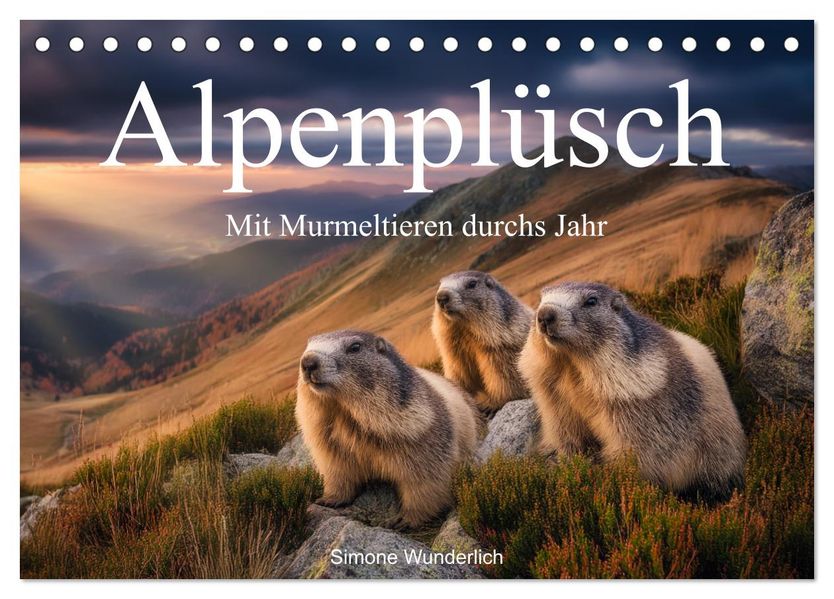 Alpenplüsch - Mit Murmeltieren durchs Jahr (Tischkalender 2026 DIN A5 quer) CALVENDO Monatskalender