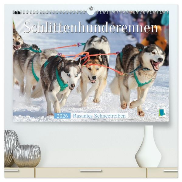 Schlittenhunderennen: Rasantes Schneetreiben (hochwertiger Premium Wandkalender 2026 DIN A2 quer) Kunstdruck in Hochglanz