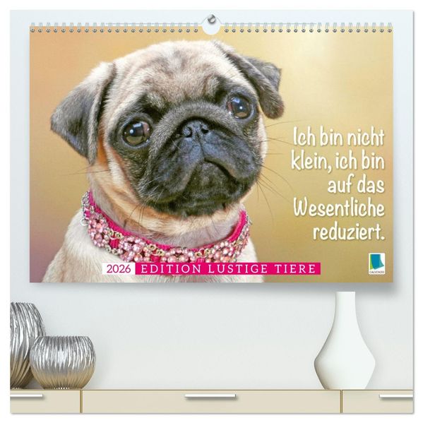 Der Mops: Nicht klein sondern aufs Wesentliche reduziert. (hochwertiger Premium Wandkalender 2026 DIN A2 quer) Kunstdruck in Hochglanz