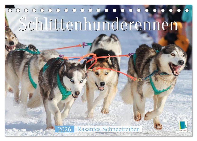 Schlittenhunderennen: Rasantes Schneetreiben (Tischkalender 2026 DIN A5 quer) CALVENDO Monatskalender