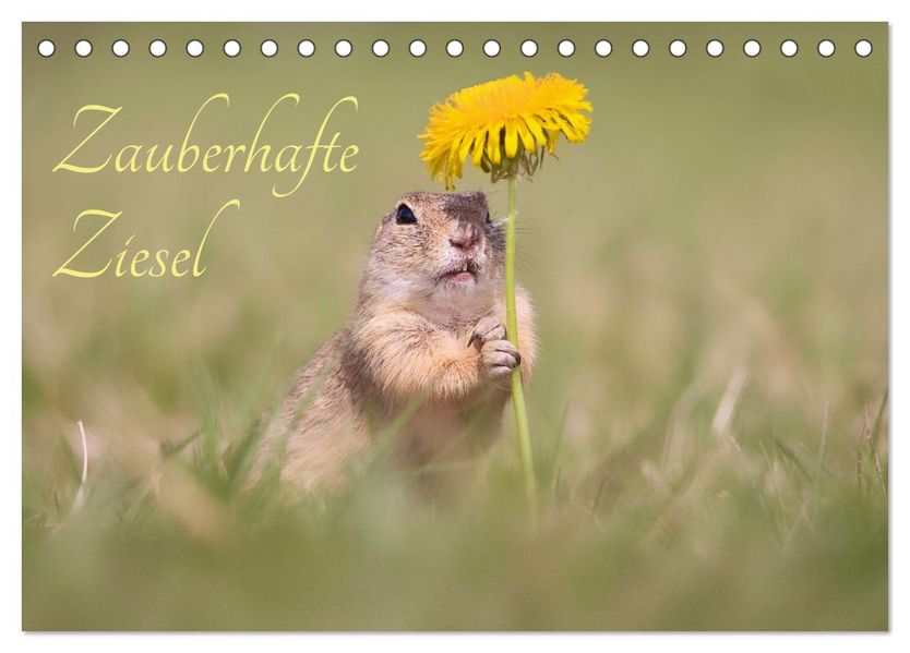 Zauberhafte Ziesel (Tischkalender 2026 DIN A5 quer) CALVENDO Monatskalender
