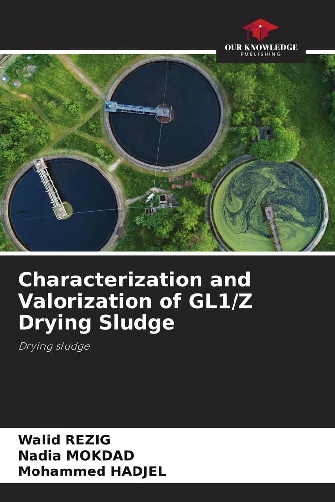 Characterization and Valorization of GL1/Z Drying Sludge