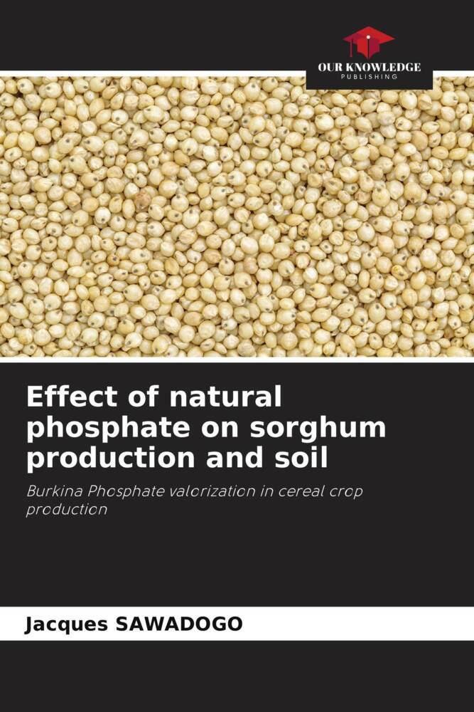 Effect of natural phosphate on sorghum production and soil