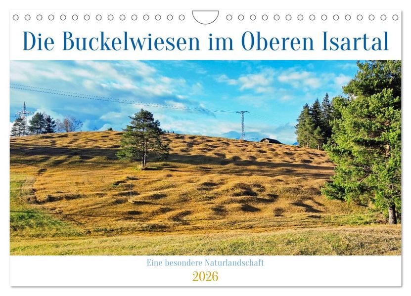 Die Buckelwiesen im Oberen Isartal (Wandkalender 2026 DIN A4 quer) CALVENDO Monatskalender
