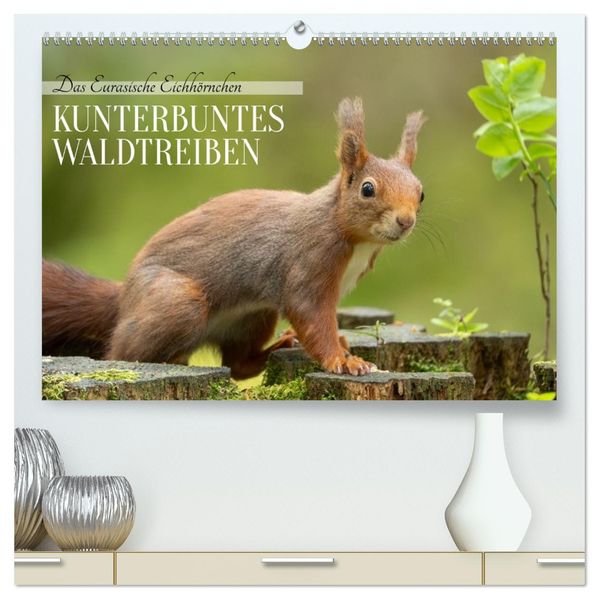 Das Eurasische Eichhörnchen - Kunterbuntes Waldtreiben (hochwertiger Premium Wandkalender 2026 DIN A2 quer) Kunstdruck in Hochglanz