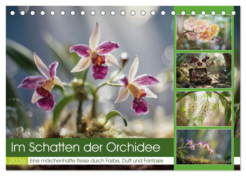 Im Schatten der Orchidee (Tischkalender 2026 DIN A5 quer) CALVENDO Monatskalender