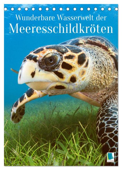 Wunderbare Wasserwelt der Meeresschildkröten (Tischkalender 2026 DIN A5 hoch) CALVENDO Monatskalender
