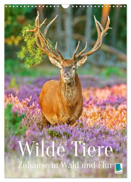 Wilde Tiere: Zuhause in Wald und Flur (Wandkalender 2026 DIN A3 hoch) CALVENDO Monatskalender