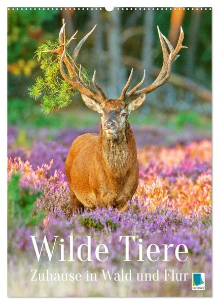Wilde Tiere: Zuhause in Wald und Flur (Wandkalender 2026 DIN A2 hoch) CALVENDO Monatskalender